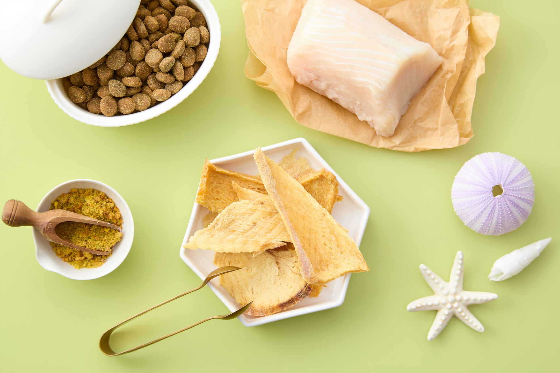 メジロザメジャーキー