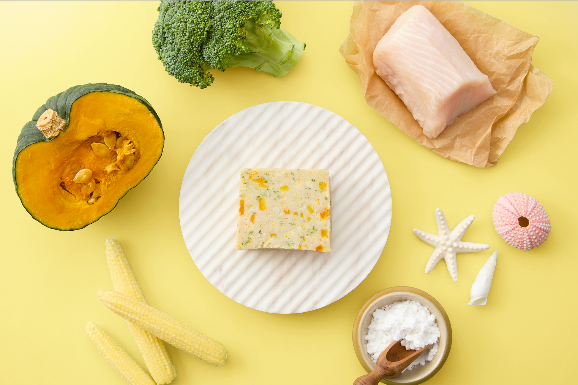 JOE’S 犬用テリーヌ｜ホシザメとかぼちゃ・ヤングコーン・ブロッコリー【無添加・国産】