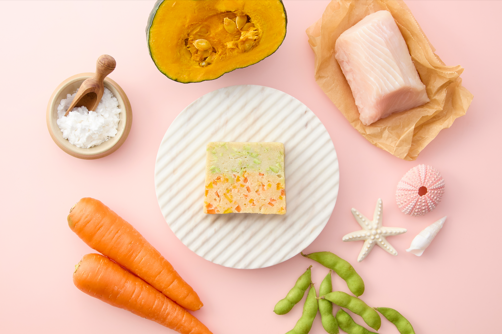 JOE’S 犬用テリーヌ ヨシキリザメ 無添加 国産 テリーヌ食材イメージ画像